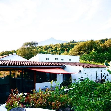 La Vega Rural De Garachico, Near Santa Cruz De Tenerife Icod De Los Vinos Bagian luar foto