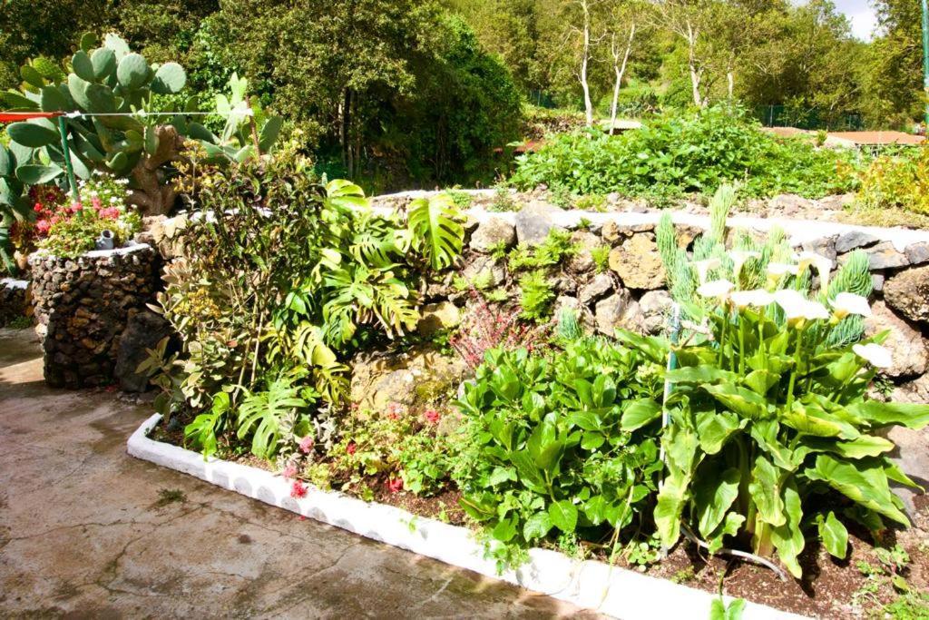 La Vega Rural De Garachico, Near Santa Cruz De Tenerife Icod De Los Vinos Bagian luar foto